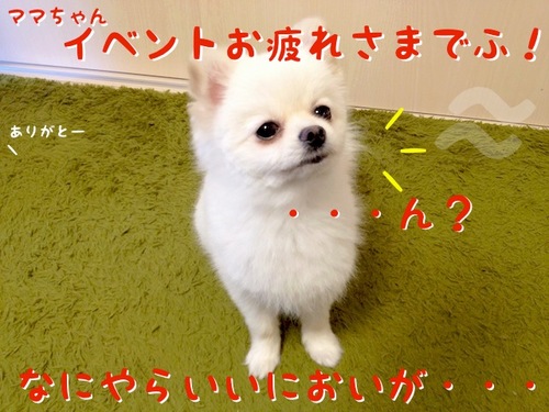 頂いたでふっ!!-1.JPG