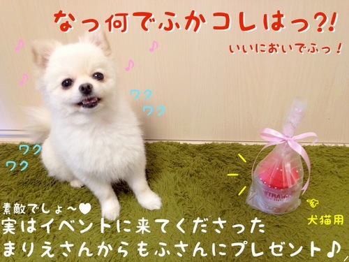 頂いたでふっ!!-2.JPG