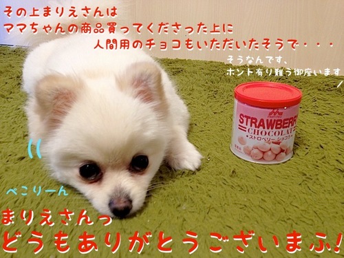 頂いたでふっ!!-7.JPG