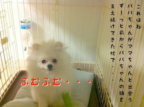 Photo 10月 09, 10 11 41 午後.jpg