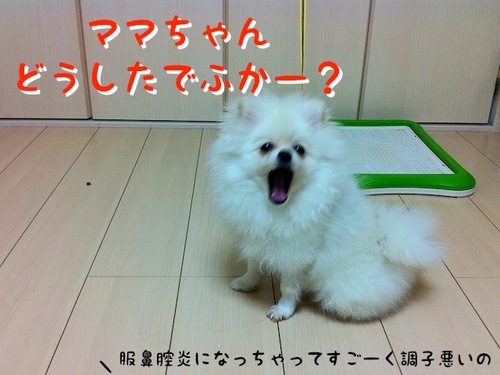 Photo 10月 19, 8 00 51 午前.jpg