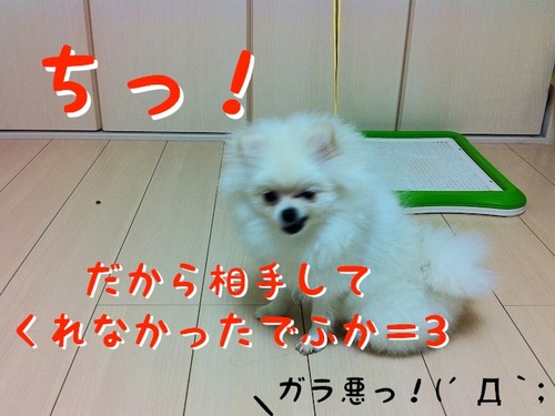 Photo 10月 19, 8 01 03 午前.jpg