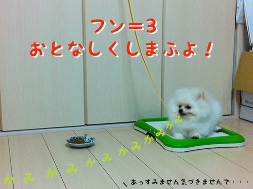 Photo 10月 19, 8 01 15 午前.jpg