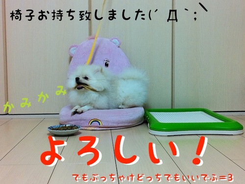 Photo 10月 19, 8 01 27 午前.jpg