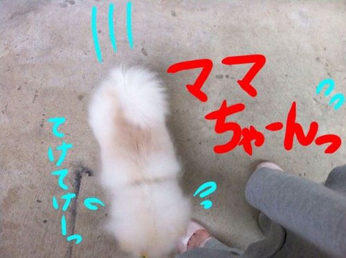 Photo 10月 21, 10 58 10 午後.jpg