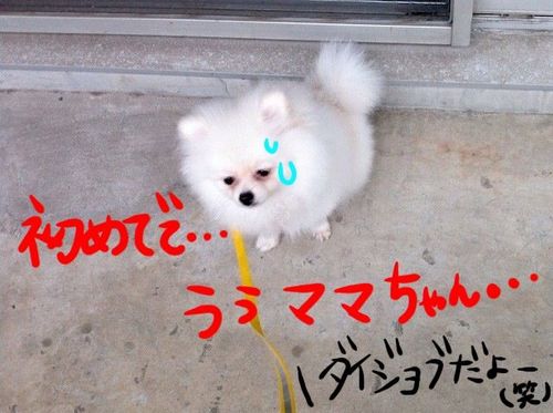 Photo 10月 21, 10 58 30 午後.jpg