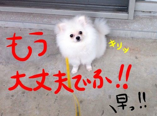 Photo 10月 21, 10 58 38 午後.jpg