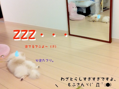 Photo 10月 24, 8 17 25 午後.jpg