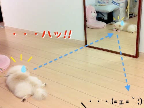 Photo 10月 24, 8 18 10 午後.jpg