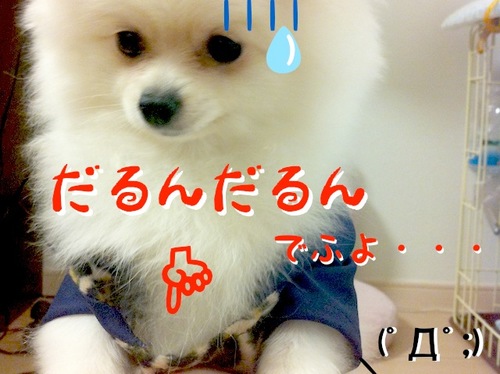 Photo 10月 26, 7 58 56 午後.jpg