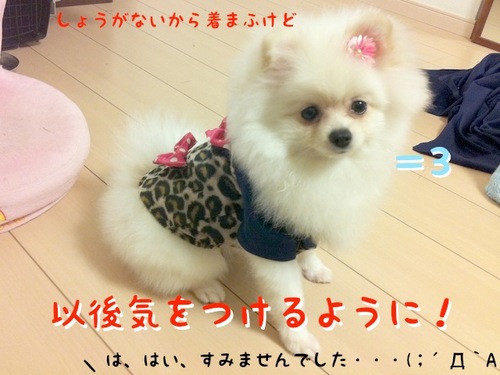 Photo 10月 26, 8 00 51 午後.jpg