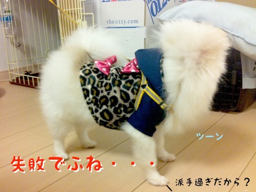 Photo 10月 26, 8 04 24 午後.jpg