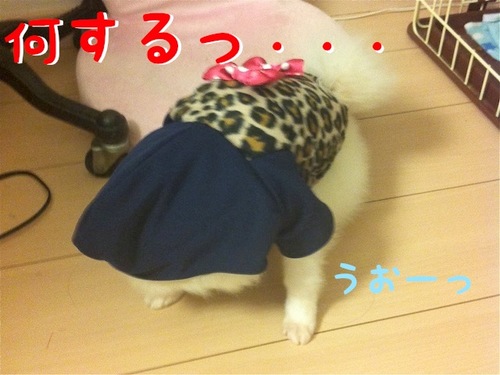 Photo 10月 29, 3 41 59 午後.jpg
