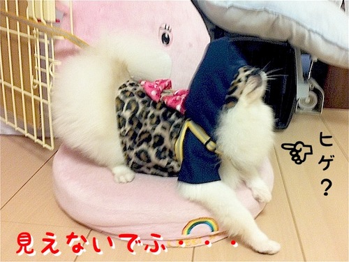 Photo 10月 29, 3 42 39 午後.jpg