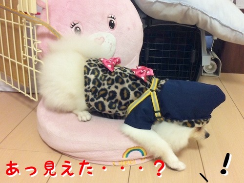 Photo 10月 29, 3 43 17 午後.jpg