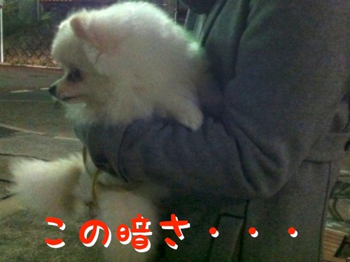 Photo 11月 07, 2 37 32 午後.jpg