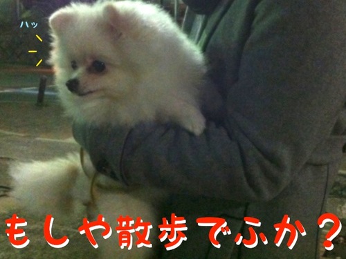 Photo 11月 07, 2 37 51 午後.jpg