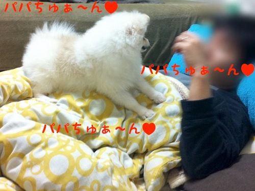 Photo 11月 07, 2 38 40 午後.jpg