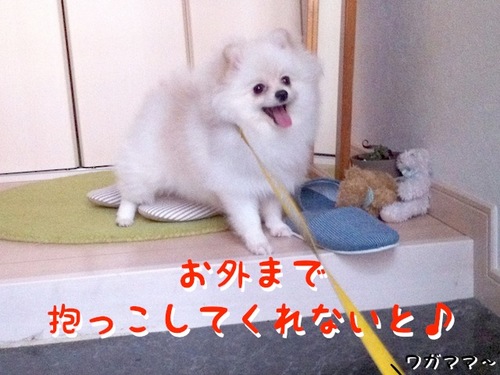 Photo 11月 16, 10 56 31 午後.jpg