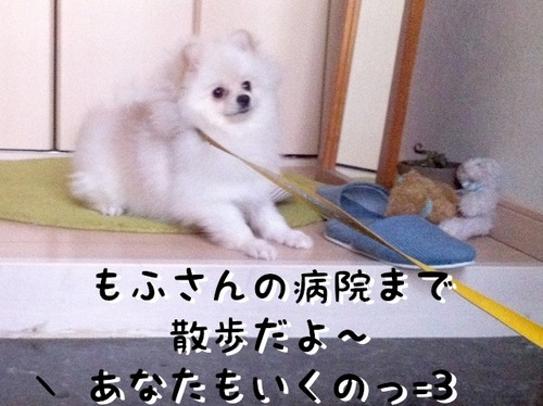 Photo 11月 16, 10 56 47 午後.jpg