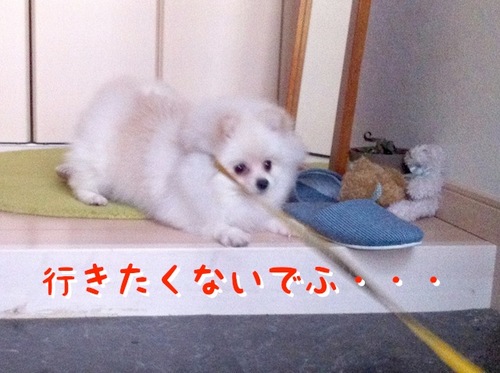 Photo 11月 16, 10 57 03 午後.jpg