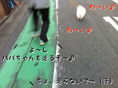 Photo 11月 23, 1 50 02 午前.jpg