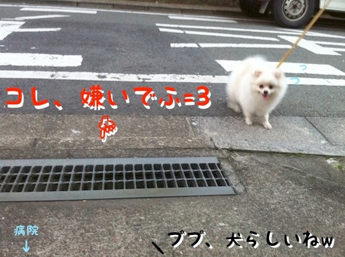 Photo 11月 23, 1 51 55 午前.jpg