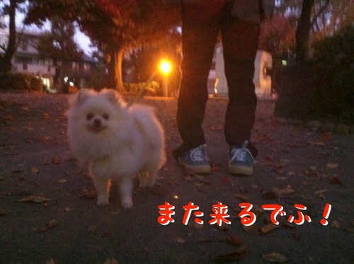 Photo 11月 23, 12 00 08 午前.jpg