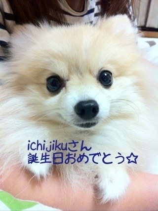 Photo 11月 26, 12 30 41 午前.jpg