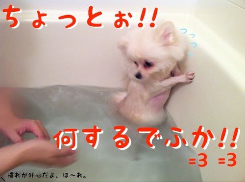Photo 11月 29, 2 50 29 午前.jpg
