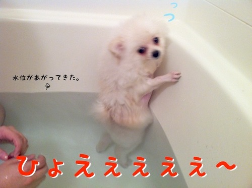 Photo 11月 29, 2 51 05 午前.jpg