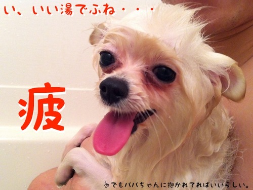 Photo 11月 29, 8 07 25 午前.jpg