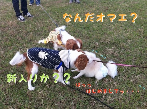 Photo 12月 10, 1 25 56 午後.jpg