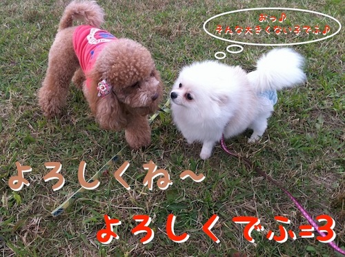 Photo 12月 10, 1 32 34 午後.jpg