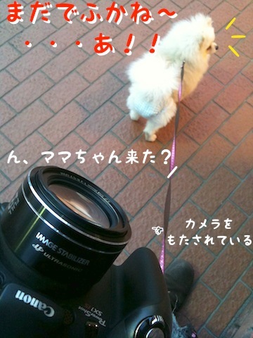 Photo 12月 18, 8 24 29 午後.jpg