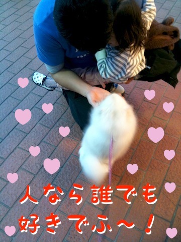 Photo 12月 18, 8 24 49 午後.jpg