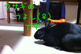 image-20100925142101.png