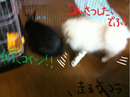 image-20100925142433.png