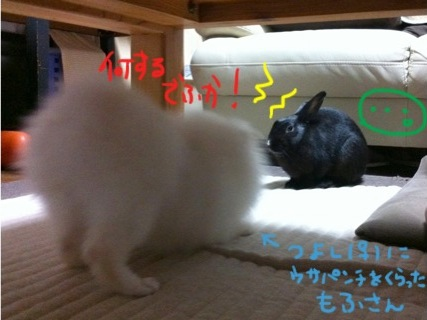 image-20100925142651.png