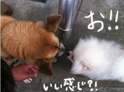 image-20100926142103.png