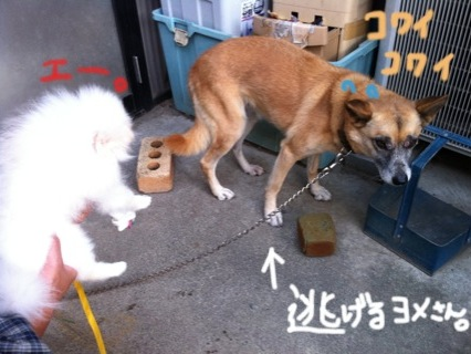 image-20100926142118.png
