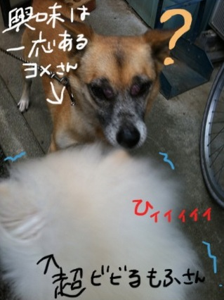 image-20100926145350.png