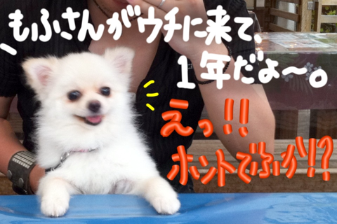image-20110720185125.png