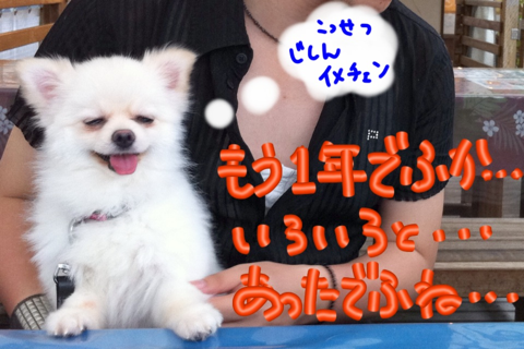 image-20110720185142.png
