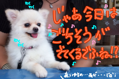 image-20110720185258.png