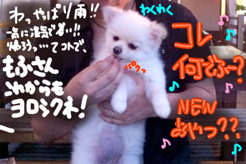 image-20110720185319.png