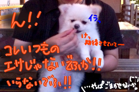image-20110720185345.png