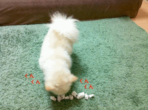 4.gif