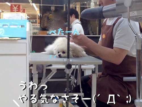 トリミング。その3-2.JPG