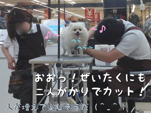 トリミング。その3-3.JPG